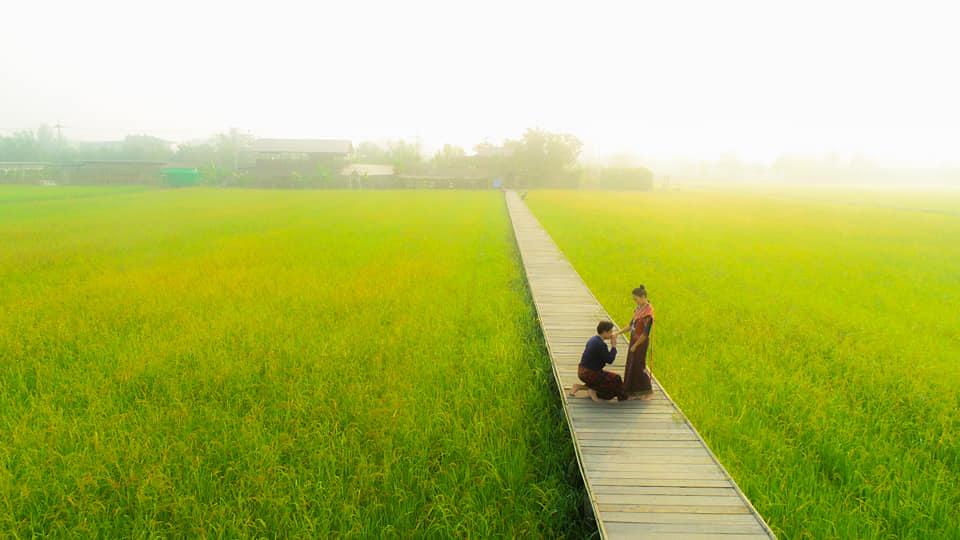 где сделать хорошие фотографии на рисовых полях в Таиланде