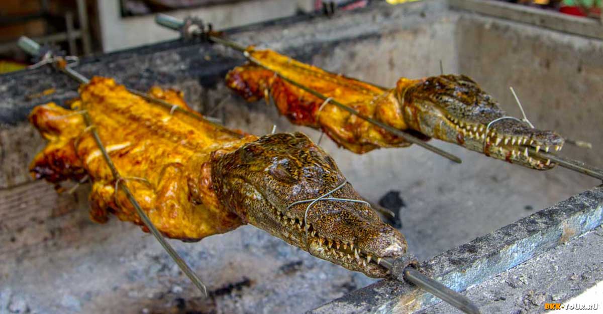 Блюда из мяса крокодила