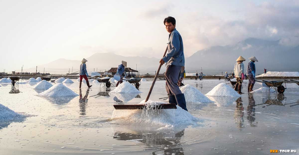 Где посмотреть как добывают соль во Вьетнаме