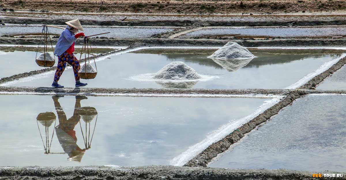 Где находятся соляные фермы во Вьетнаме